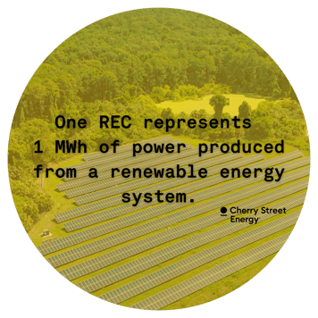 What are renewable energy credits?